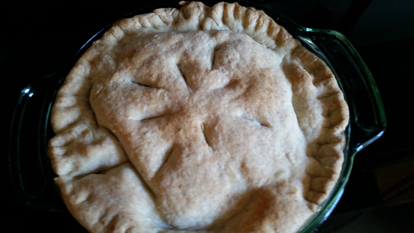 Chickenless Vegetarian Pot Pie 2