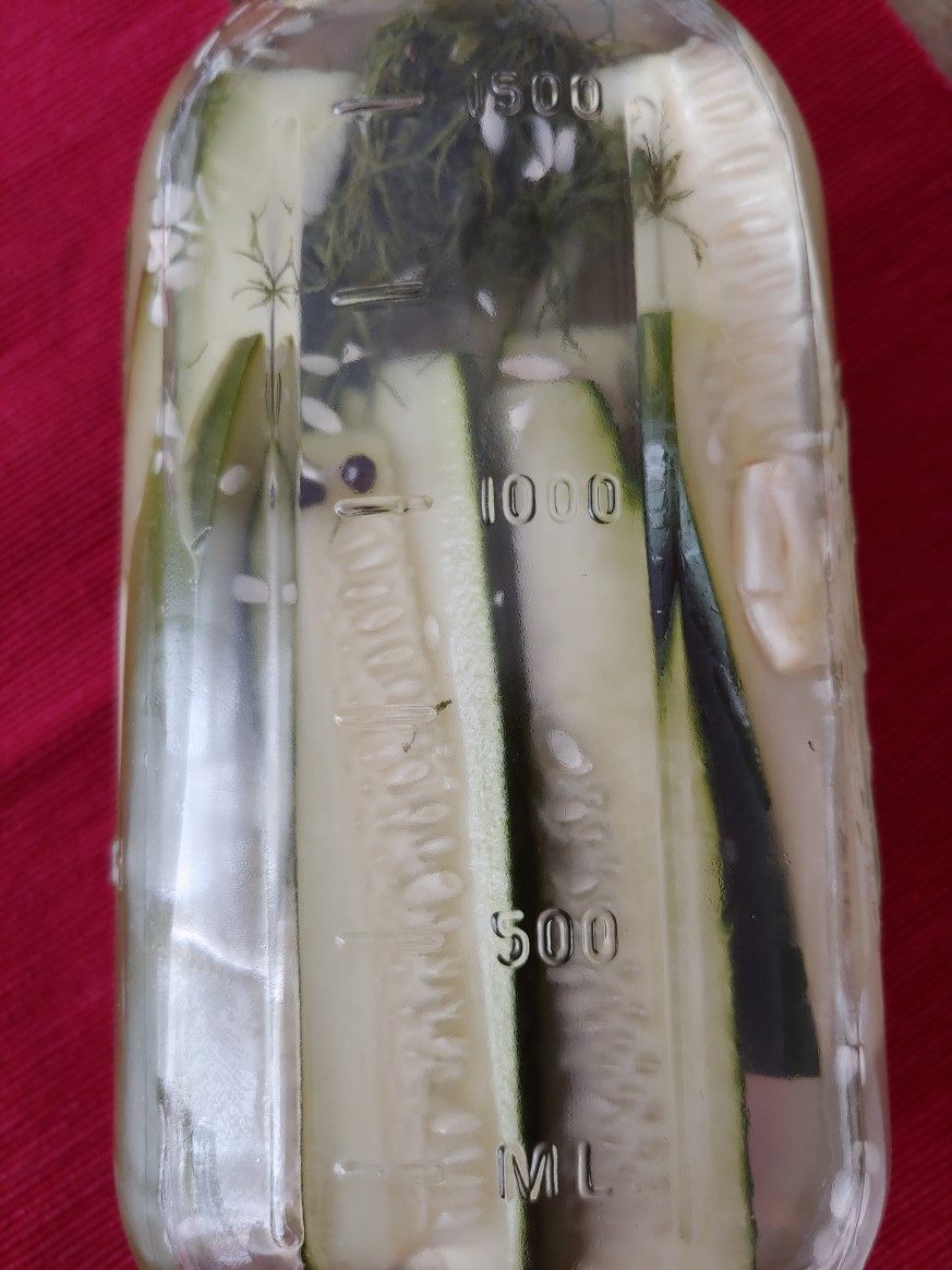 Easy Dill Pickles 1