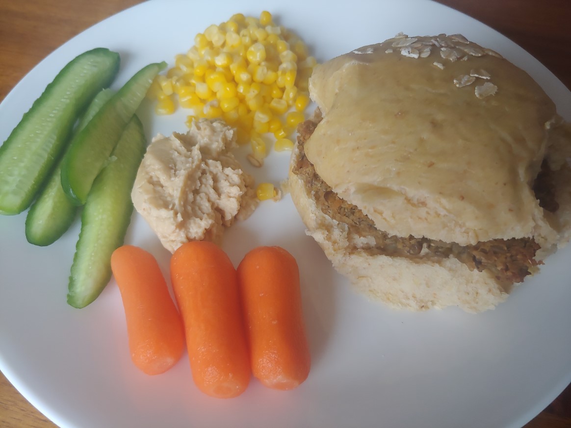 Lentil Protein Patties 1