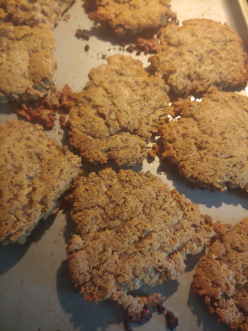 Lentil Protein Patties 2